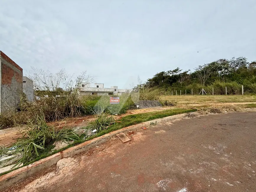 Terreno / Lote à venda, 313m2 em Jardim Coopagro, Toledo - PR - imagem 9 Foto 9 de Terreno / Lote à venda, 313m2 em Jardim Coopagro, Toledo - PR