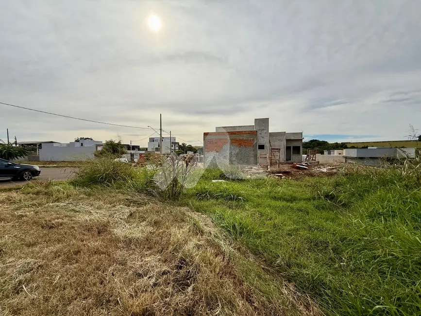 Terreno / Lote à venda, 313m2 em Jardim Coopagro, Toledo - PR - imagem 5 Foto 5 de Terreno / Lote à venda, 313m2 em Jardim Coopagro, Toledo - PR