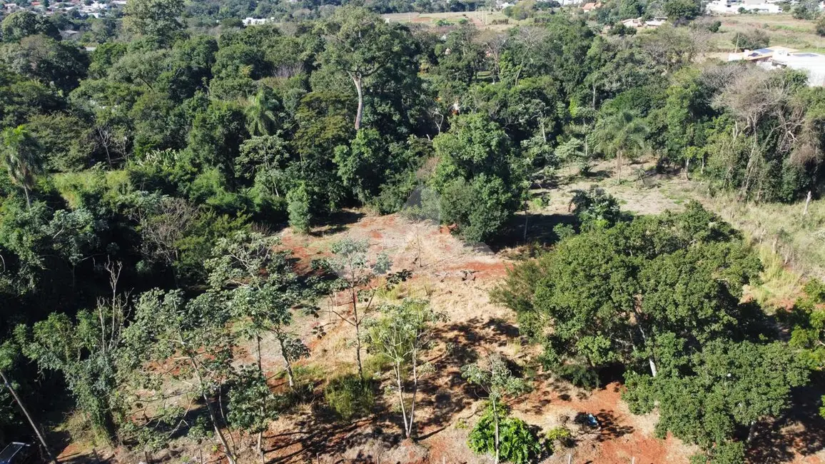 Foto 4 de Chácara à venda, 6475m2 em Tocantins, Toledo - PR