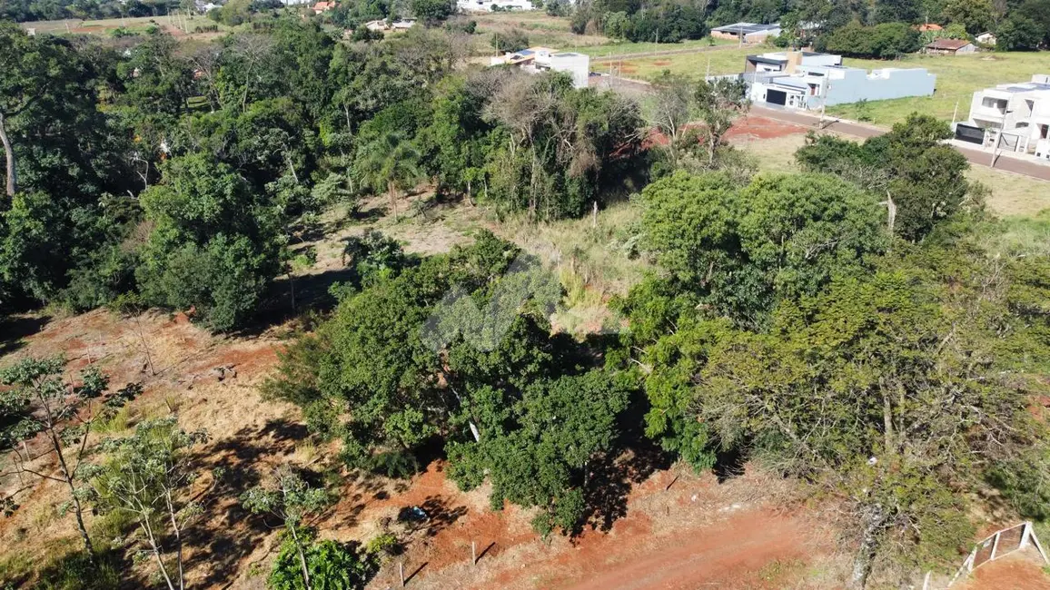 Foto 3 de Chácara à venda, 6475m2 em Tocantins, Toledo - PR