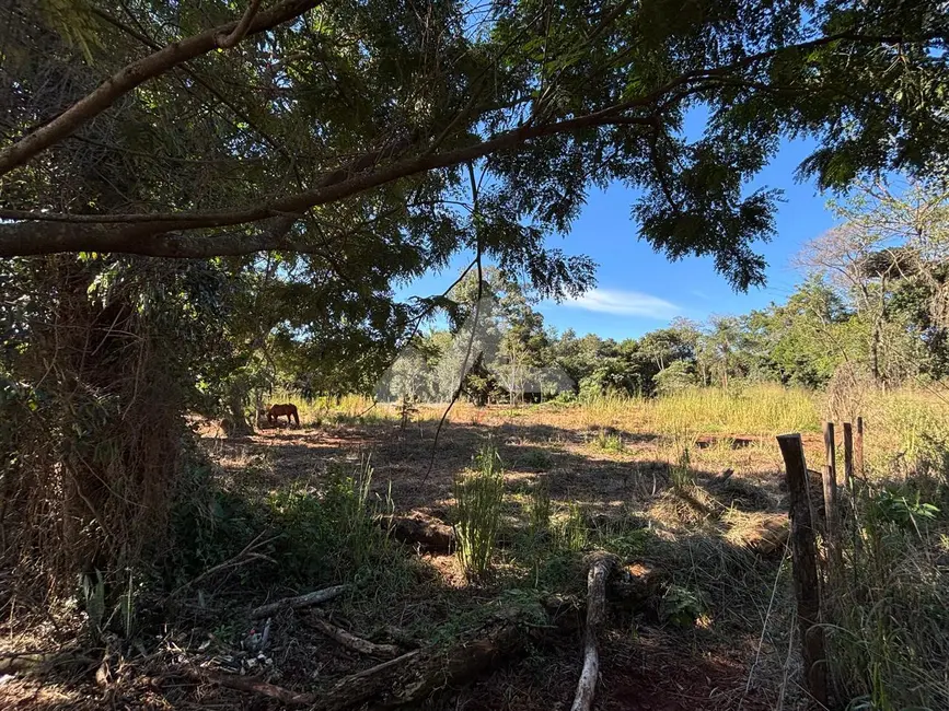 Foto 8 de Chácara à venda, 6475m2 em Tocantins, Toledo - PR