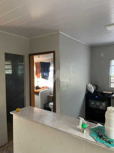 Foto 7 de Chácara com 2 quartos à venda, 5000m2 em Toledo - PR