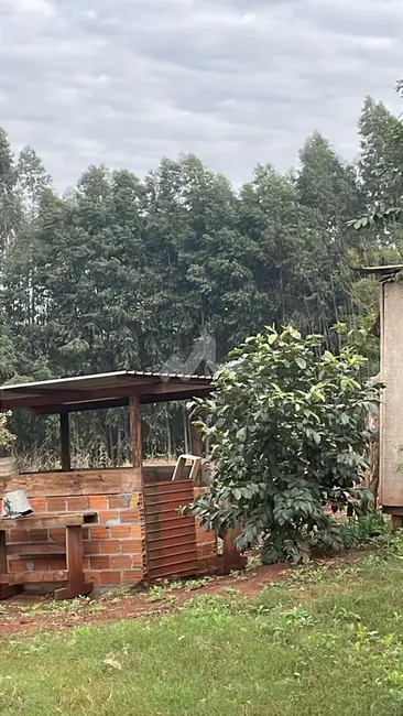 Foto 3 de Chácara com 2 quartos à venda, 5000m2 em Toledo - PR