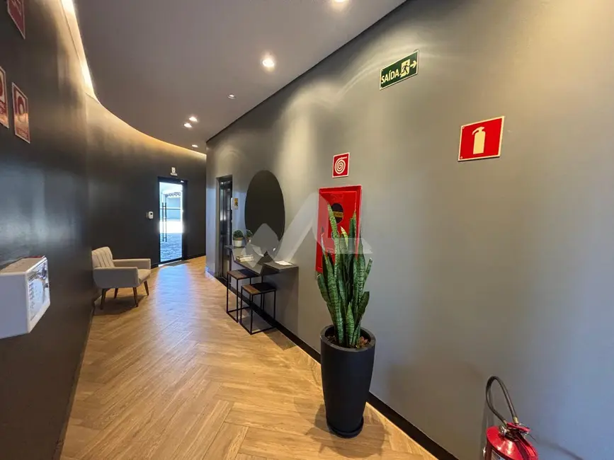 Foto 6 de Apartamento com 1 quarto para alugar em Jardim Gisela, Toledo - PR