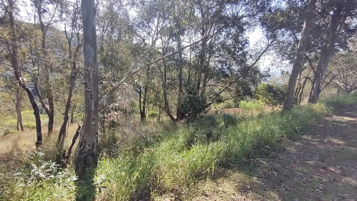 Foto 4 de Terreno / Lote à venda, 1000m2 em Santa Isabel, Viamao - RS