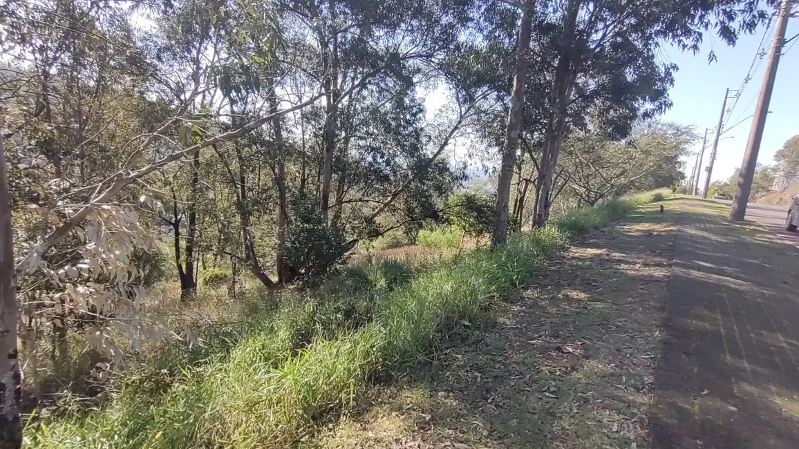 Foto 3 de Terreno / Lote à venda, 1000m2 em Santa Isabel, Viamao - RS