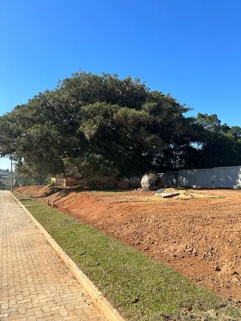 Terreno / Lote à venda, 180m2 em Augusta, Viamao - RS - imagem 9 Foto 9 de Terreno / Lote à venda, 180m2 em Augusta, Viamao - RS