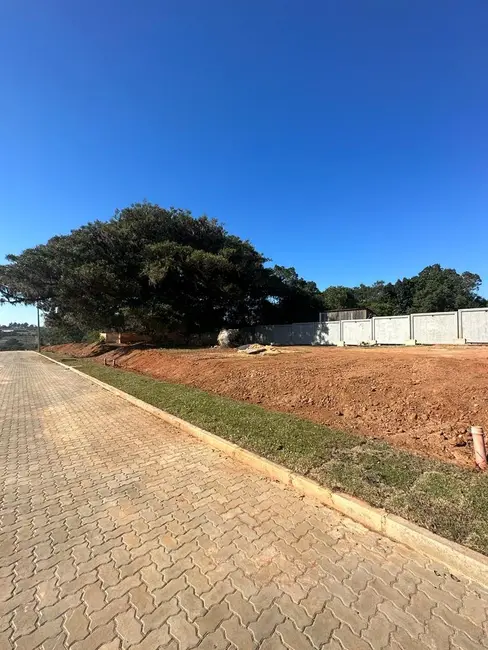 Terreno / Lote à venda, 180m2 em Augusta, Viamao - RS - imagem 8 Foto 8 de Terreno / Lote à venda, 180m2 em Augusta, Viamao - RS