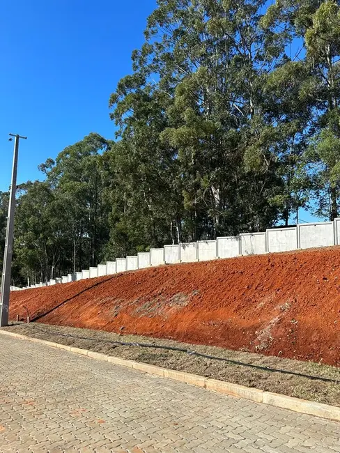 Terreno / Lote à venda, 180m2 em Augusta, Viamao - RS - imagem 3 Foto 3 de Terreno / Lote à venda, 180m2 em Augusta, Viamao - RS