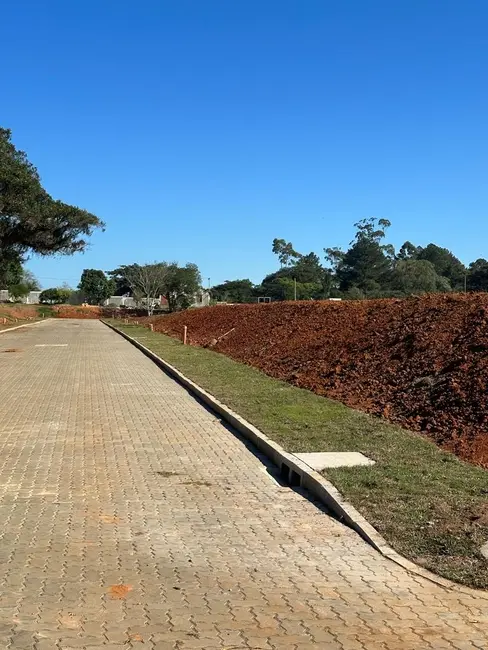 Terreno / Lote à venda, 180m2 em Augusta, Viamao - RS - imagem 6 Foto 6 de Terreno / Lote à venda, 180m2 em Augusta, Viamao - RS