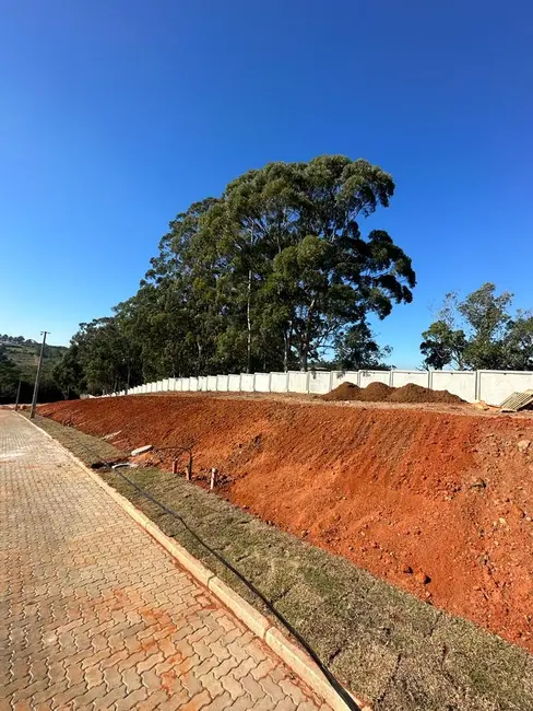 Terreno / Lote à venda, 180m2 em Augusta, Viamao - RS - imagem 5 Foto 5 de Terreno / Lote à venda, 180m2 em Augusta, Viamao - RS