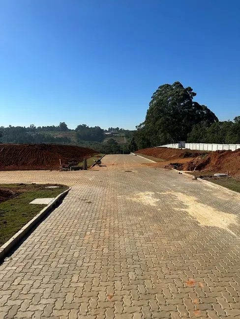 Terreno / Lote à venda, 180m2 em Augusta, Viamao - RS - imagem 7 Foto 7 de Terreno / Lote à venda, 180m2 em Augusta, Viamao - RS