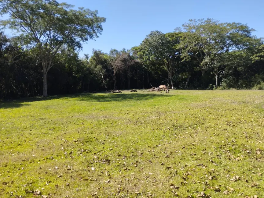 Sítio / Rancho com 4 quartos à venda, 10000m2 em Viamao - RS - imagem 9 Foto 9 de Sítio / Rancho com 4 quartos à venda, 10000m2 em Viamao - RS