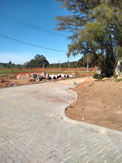 Terreno / Lote à venda, 180m2 em Viamao - RS - imagem 3 Foto 3 de Terreno / Lote à venda, 180m2 em Viamao - RS