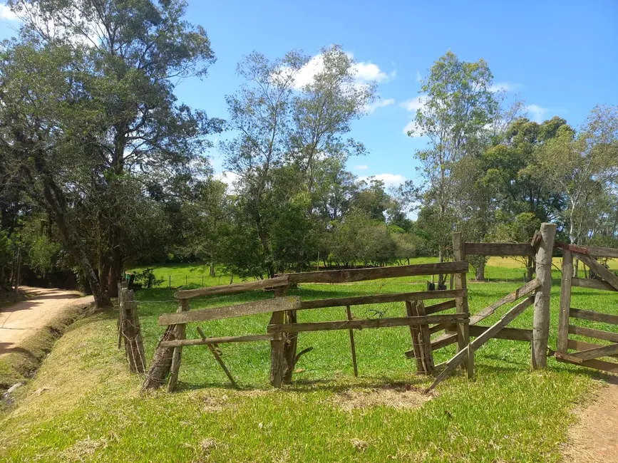 Foto 6 de Sítio / Rancho à venda, 20000m2 em Taruma, Viamao - RS