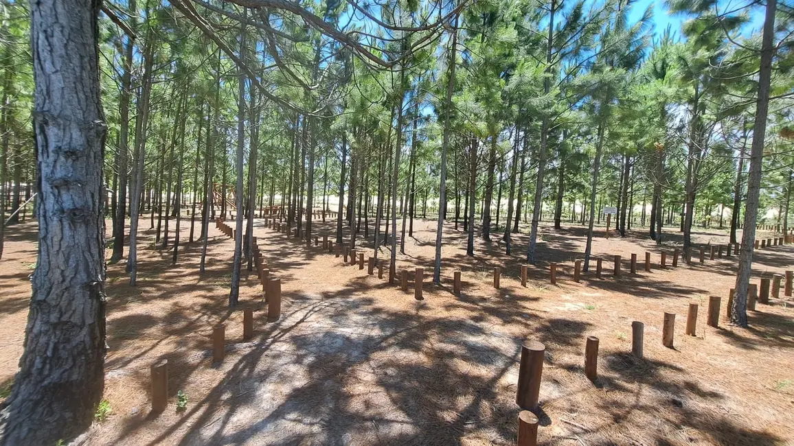 Foto 9 de Terreno / Lote à venda, 300m2 em Balneario Gaivota - SC