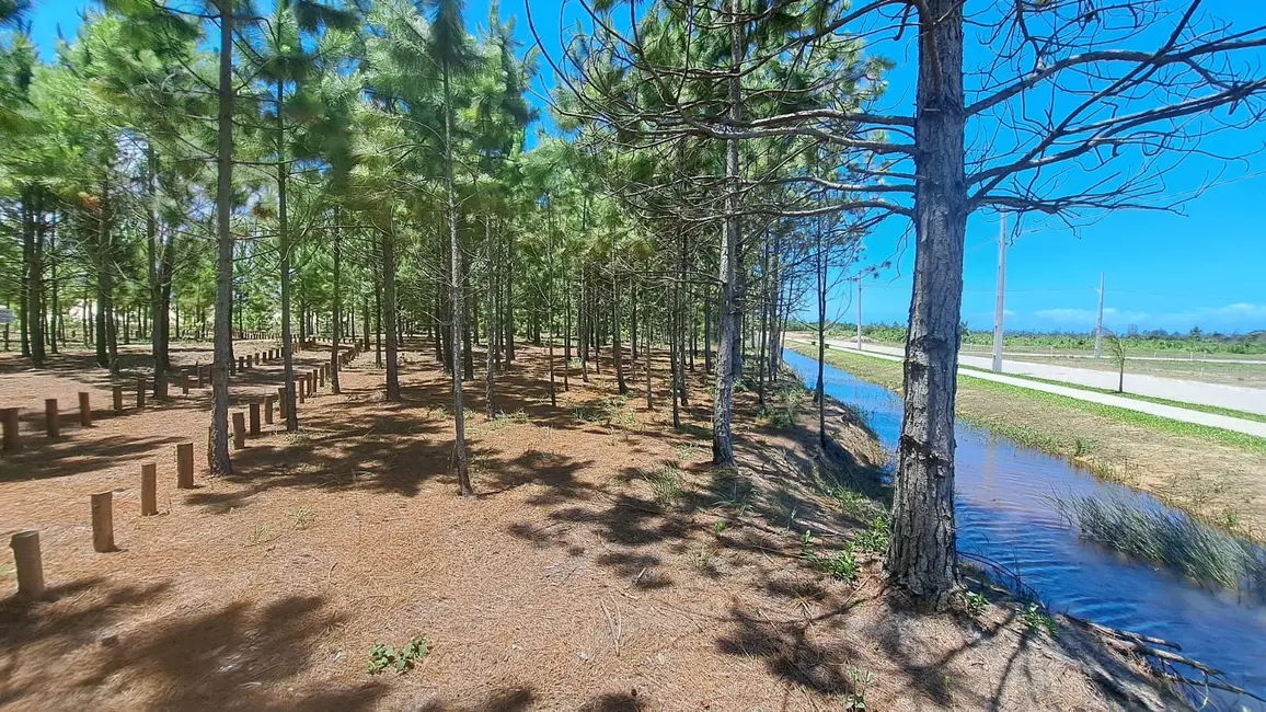 Foto 8 de Terreno / Lote à venda, 300m2 em Balneario Gaivota - SC