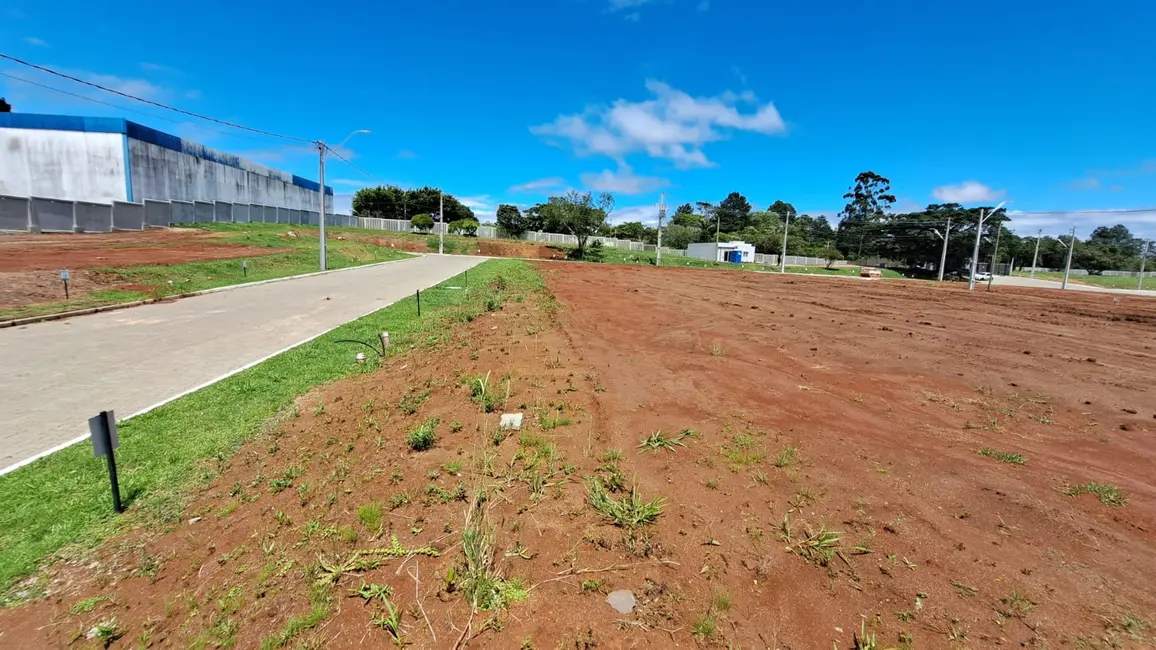 Terreno / Lote à venda, 180m2 em Viamao - RS - imagem 5 Foto 5 de Terreno / Lote à venda, 180m2 em Viamao - RS