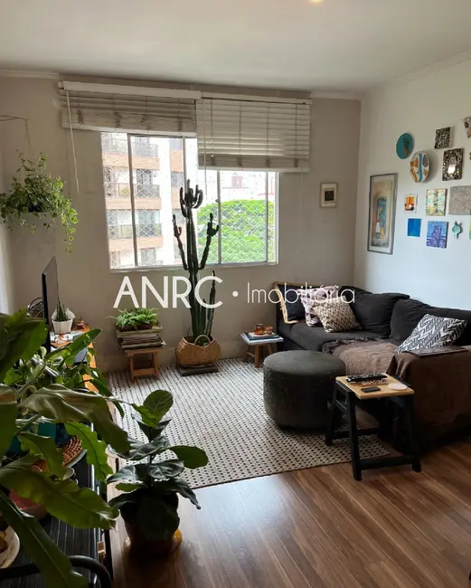 Apartamento com 3 quartos à venda, 62m2 em Vila Mariana, São Paulo - SP - imagem 8 Foto 8 de Apartamento com 3 quartos à venda, 62m2 em Vila Mariana, São Paulo - SP