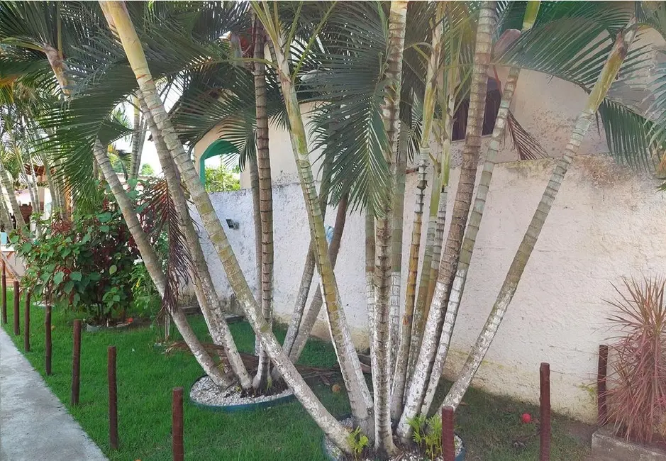 Foto 2 de Casa com 3 quartos à venda, 88m2 em Guaratiba, Rio De Janeiro - RJ