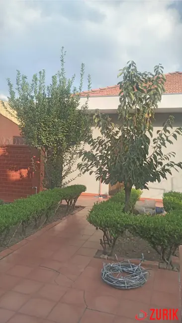 Foto 9 de Casa com 4 quartos à venda, 350m2 em Parque Edu Chaves, São Paulo - SP