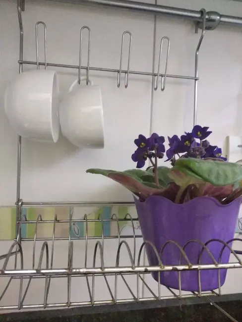 Loft / Flat com 1 quarto para alugar, 35m2 em Jardim Paulista, São Paulo - SP - imagem 3 Foto 3 de Loft / Flat com 1 quarto para alugar, 35m2 em Jardim Paulista, São Paulo - SP