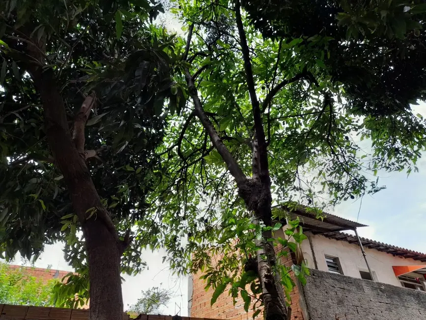 Casa com 2 quartos à venda, 250m2 em Parque São Bento, Sorocaba - SP - imagem 4 Foto 4 de Casa com 2 quartos à venda, 250m2 em Parque São Bento, Sorocaba - SP