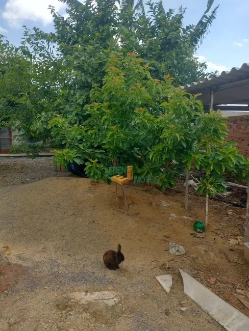 Chácara com 2 quartos à venda, 860m2 em Ana Maria, Sorocaba - SP - imagem 6 Foto 6 de Chácara com 2 quartos à venda, 860m2 em Ana Maria, Sorocaba - SP