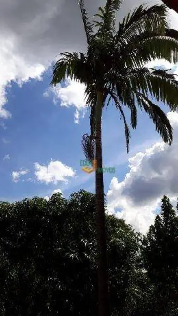 Foto 8 de Sítio / Rancho com 3 quartos à venda, 24000m2 em Ibiuna - SP