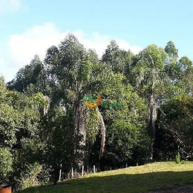 Foto 5 de Sítio / Rancho com 3 quartos à venda, 24000m2 em Ibiuna - SP
