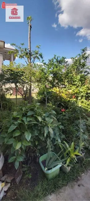 Casa com 4 quartos à venda, 430m2 em Zona 08, Maringa - PR - imagem 6 Foto 6 de Casa com 4 quartos à venda, 430m2 em Zona 08, Maringa - PR