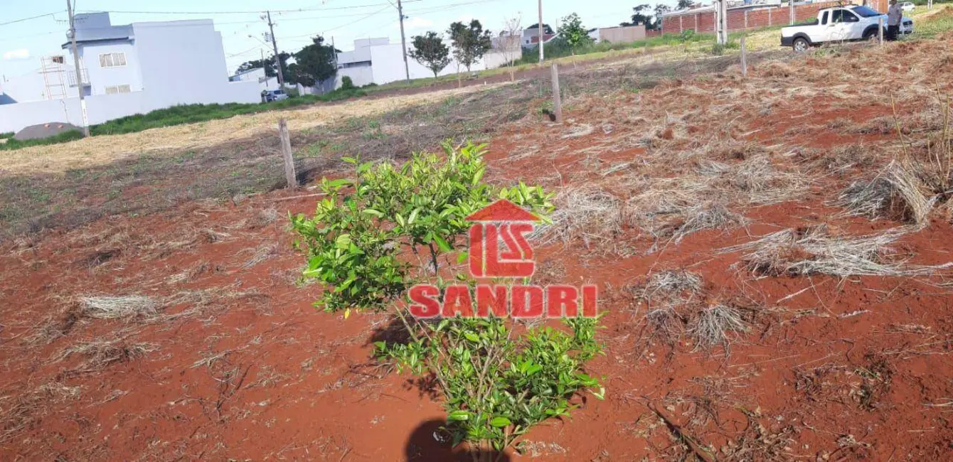 Terreno / Lote à venda, 250m2 em Jardim Novo Centro, Campo Mourao - PR - imagem 8 Foto 8 de Terreno / Lote à venda, 250m2 em Jardim Novo Centro, Campo Mourao - PR