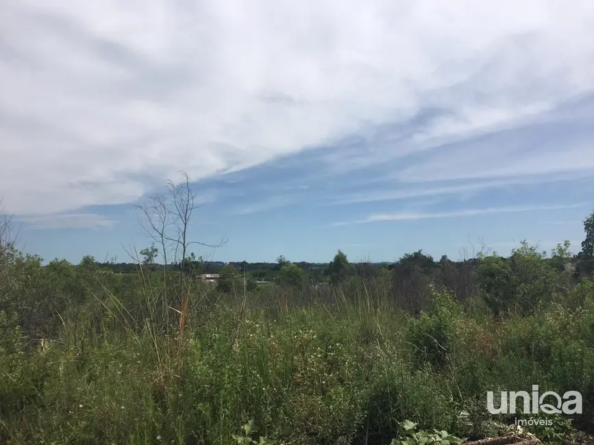 Foto 2 de Terreno / Lote à venda, 4830m2 em Diácono João Luiz Pozzobon, Santa Maria - RS
