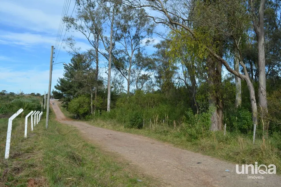 Foto 3 de Terreno / Lote à venda, 4830m2 em Diácono João Luiz Pozzobon, Santa Maria - RS