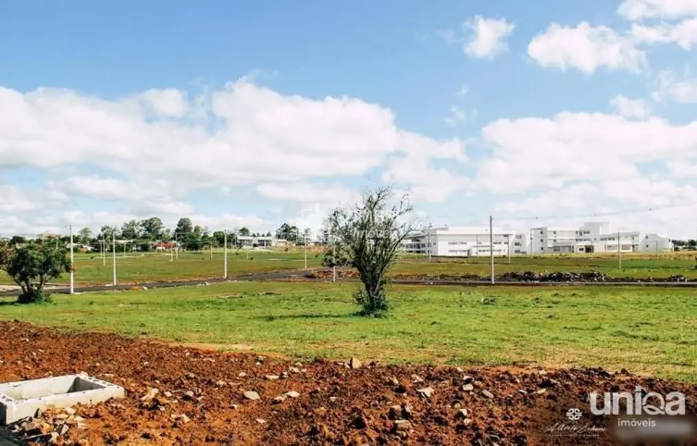 Foto 9 de Terreno / Lote à venda, 330m2 em Pinheiro Machado, Santa Maria - RS