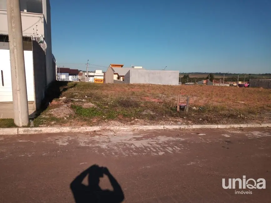 Foto 6 de Terreno / Lote à venda, 275m2 em Camobi, Santa Maria - RS