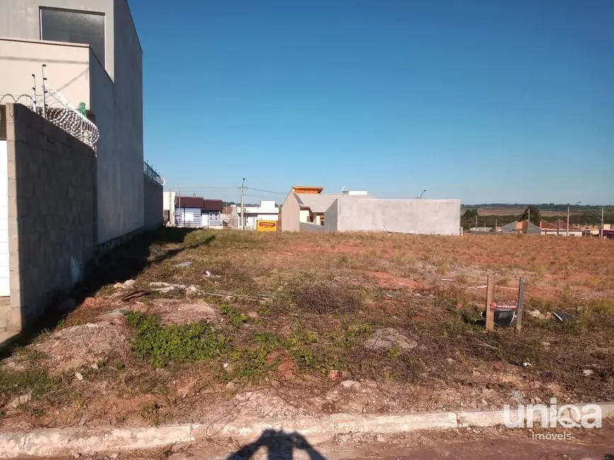 Foto 3 de Terreno / Lote à venda, 275m2 em Camobi, Santa Maria - RS