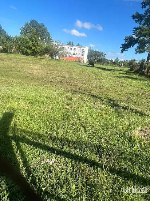 Foto 3 de Terreno / Lote à venda, 546m2 em Tomazetti, Santa Maria - RS