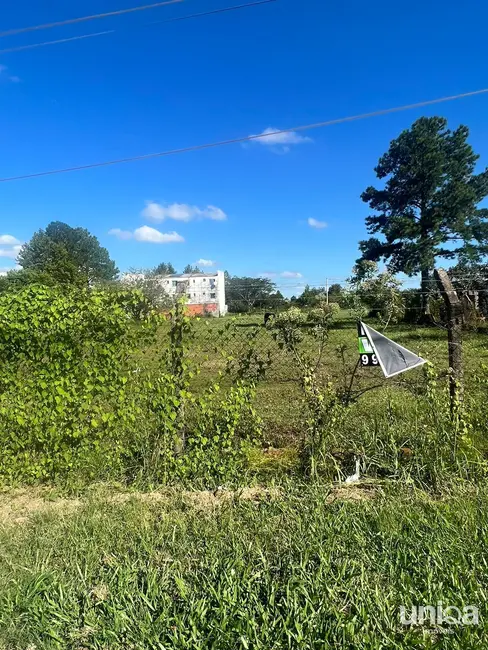 Foto 7 de Terreno / Lote à venda, 546m2 em Tomazetti, Santa Maria - RS