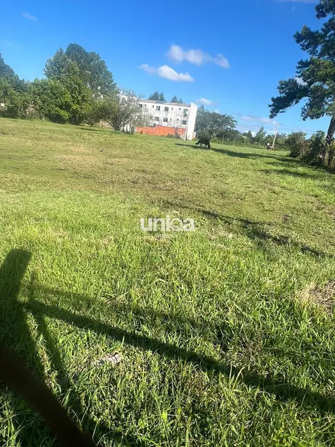 Terreno / Lote à venda, 360m2 em Tomazetti, Santa Maria - RS - imagem 7 Foto 7 de Terreno / Lote à venda, 360m2 em Tomazetti, Santa Maria - RS
