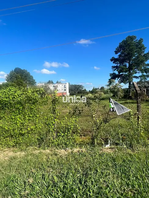 Terreno / Lote à venda, 360m2 em Tomazetti, Santa Maria - RS - imagem 6 Foto 6 de Terreno / Lote à venda, 360m2 em Tomazetti, Santa Maria - RS