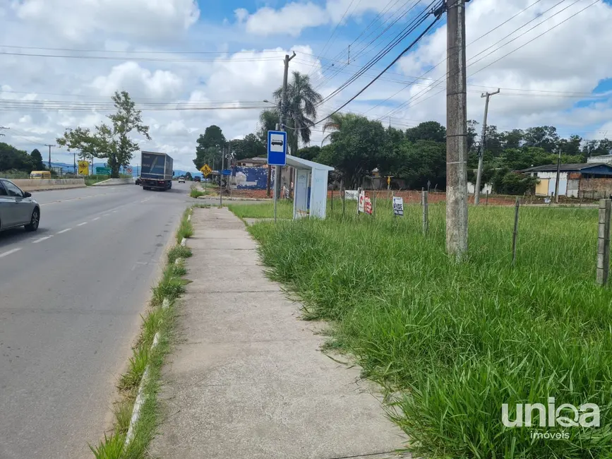 Foto 3 de Terreno / Lote à venda, 1864m2 em Pé de Plátano, Santa Maria - RS