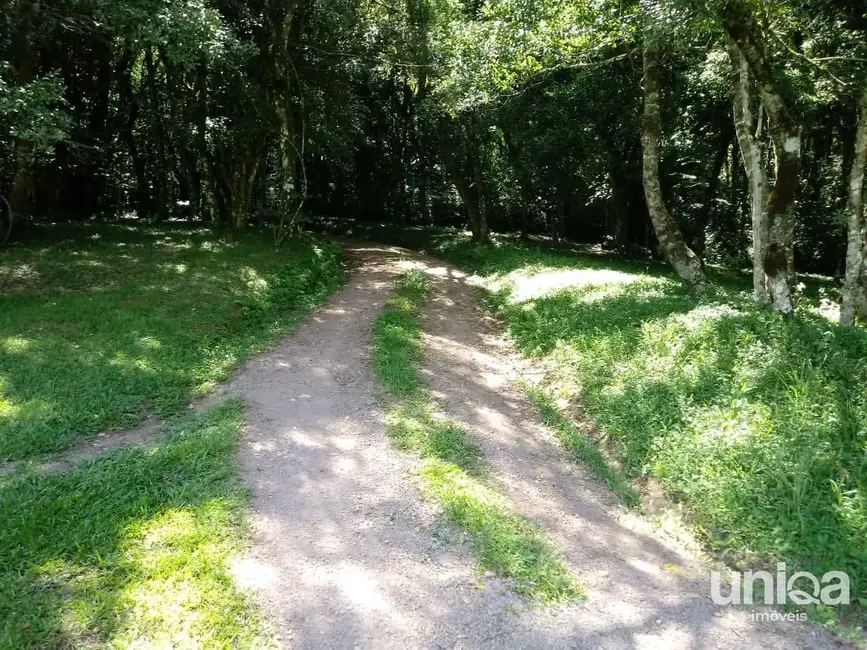 Foto 7 de Casa com 2 quartos à venda, 500m2 em Silveira Martins - RS