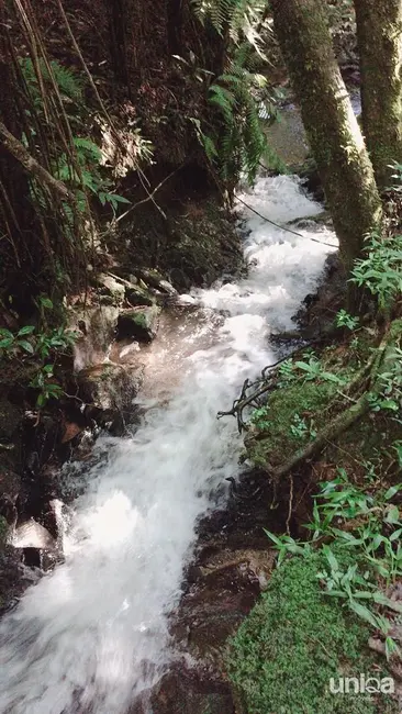 Foto 5 de Casa com 2 quartos à venda, 500m2 em Silveira Martins - RS