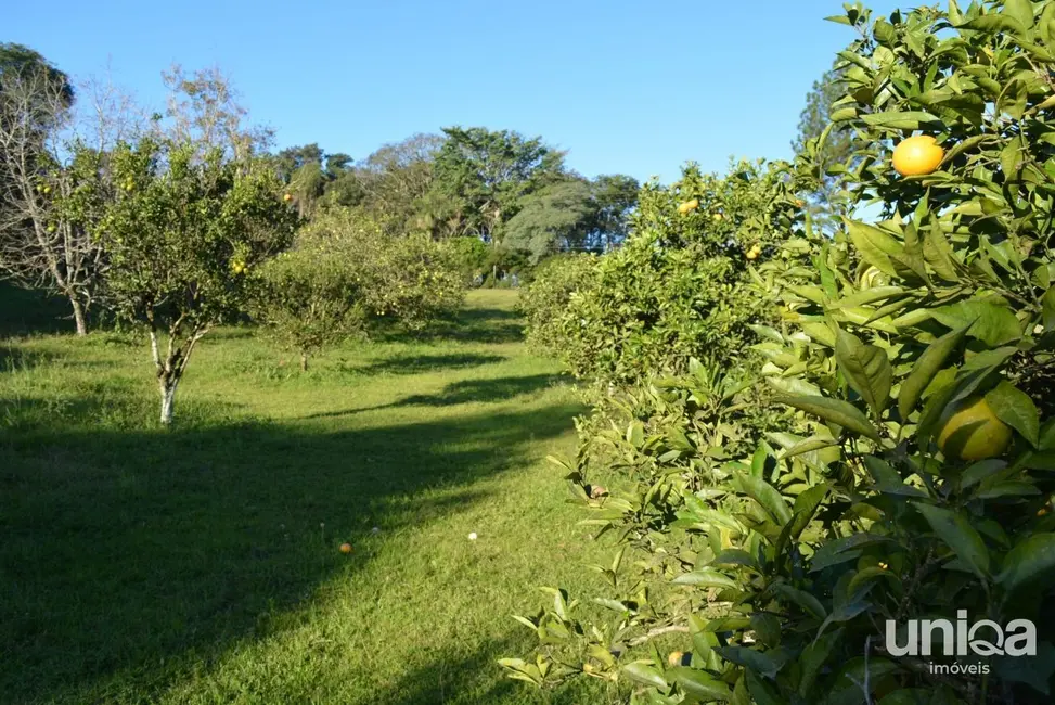 Foto 8 de Casa com 2 quartos à venda, 500m2 em Silveira Martins - RS