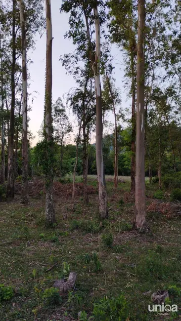 Foto 2 de Terreno / Lote à venda em Silveira Martins - RS