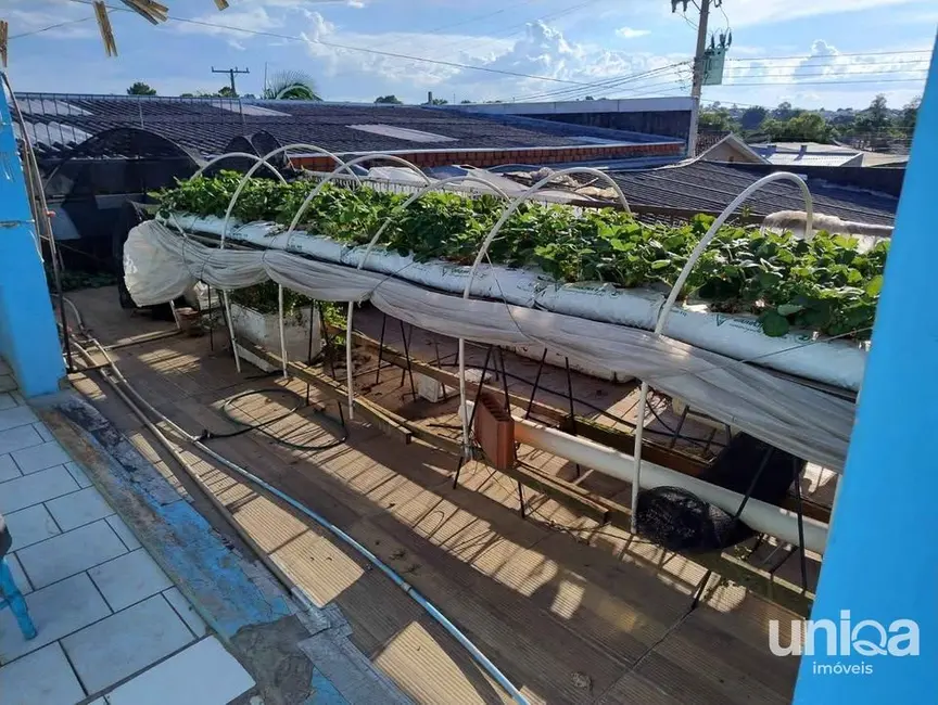 Casa com 3 quartos à venda, 330m2 em São João, Santa Maria - RS - imagem 5 Foto 5 de Casa com 3 quartos à venda, 330m2 em São João, Santa Maria - RS