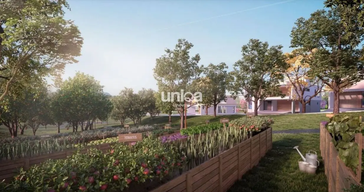 Foto 4 de Terreno / Lote à venda, 338m2 em Tomazetti, Santa Maria - RS