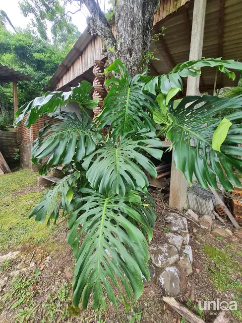 Foto 3 de Chácara com 3 quartos à venda, 150m2 em Silveira Martins - RS