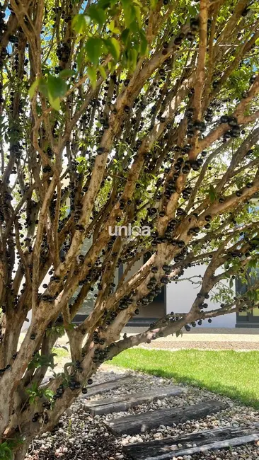 Foto 6 de Casa de Condomínio com 3 quartos à venda, 195m2 em Camobi, Santa Maria - RS